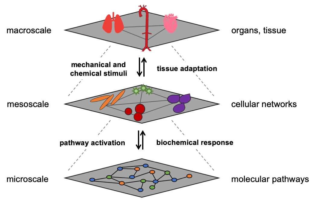 Multiscale Modeling