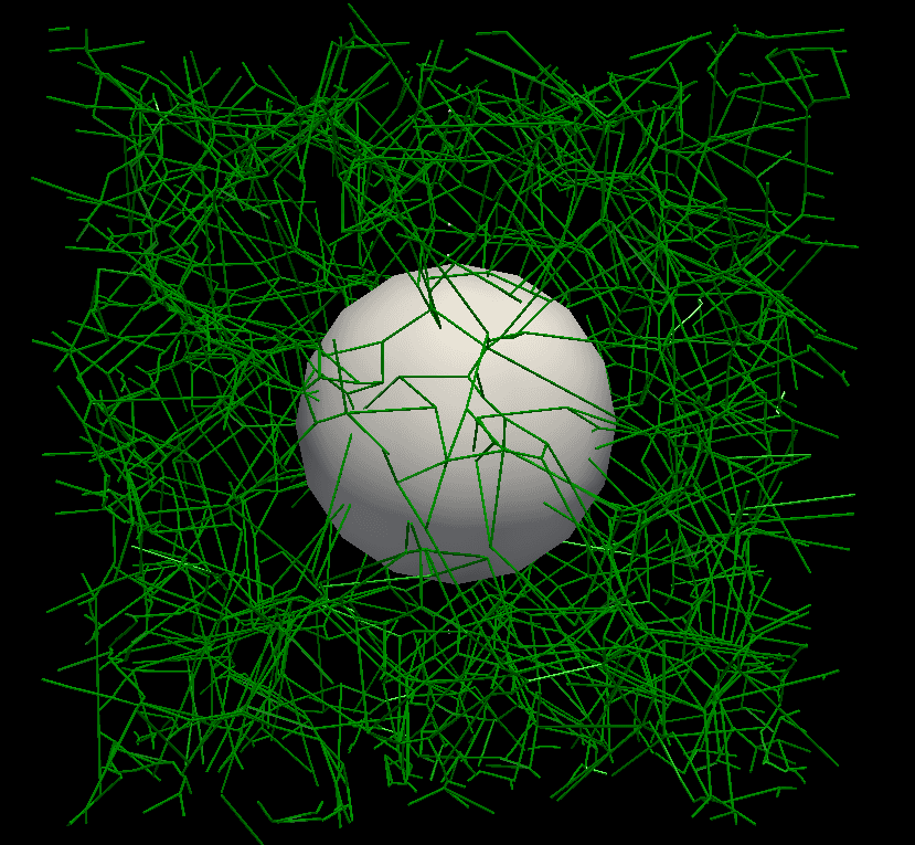 Cell Migration