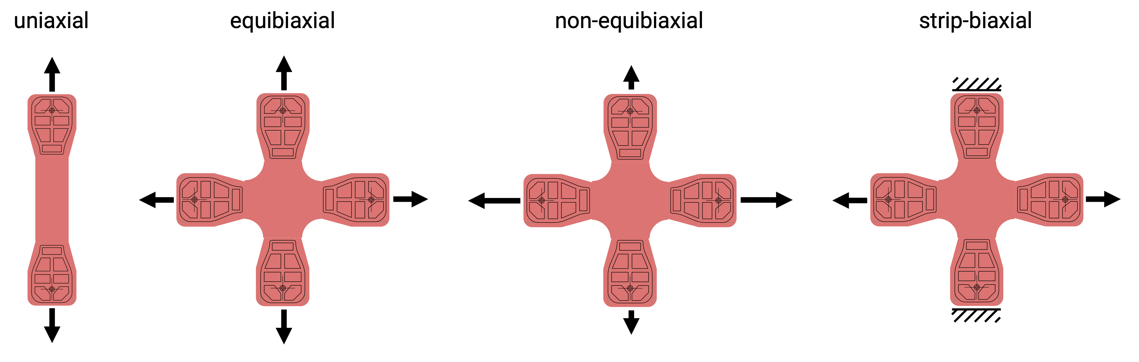 Picture showing the possible boundary conditions for cell-seeded tissue equivalents.