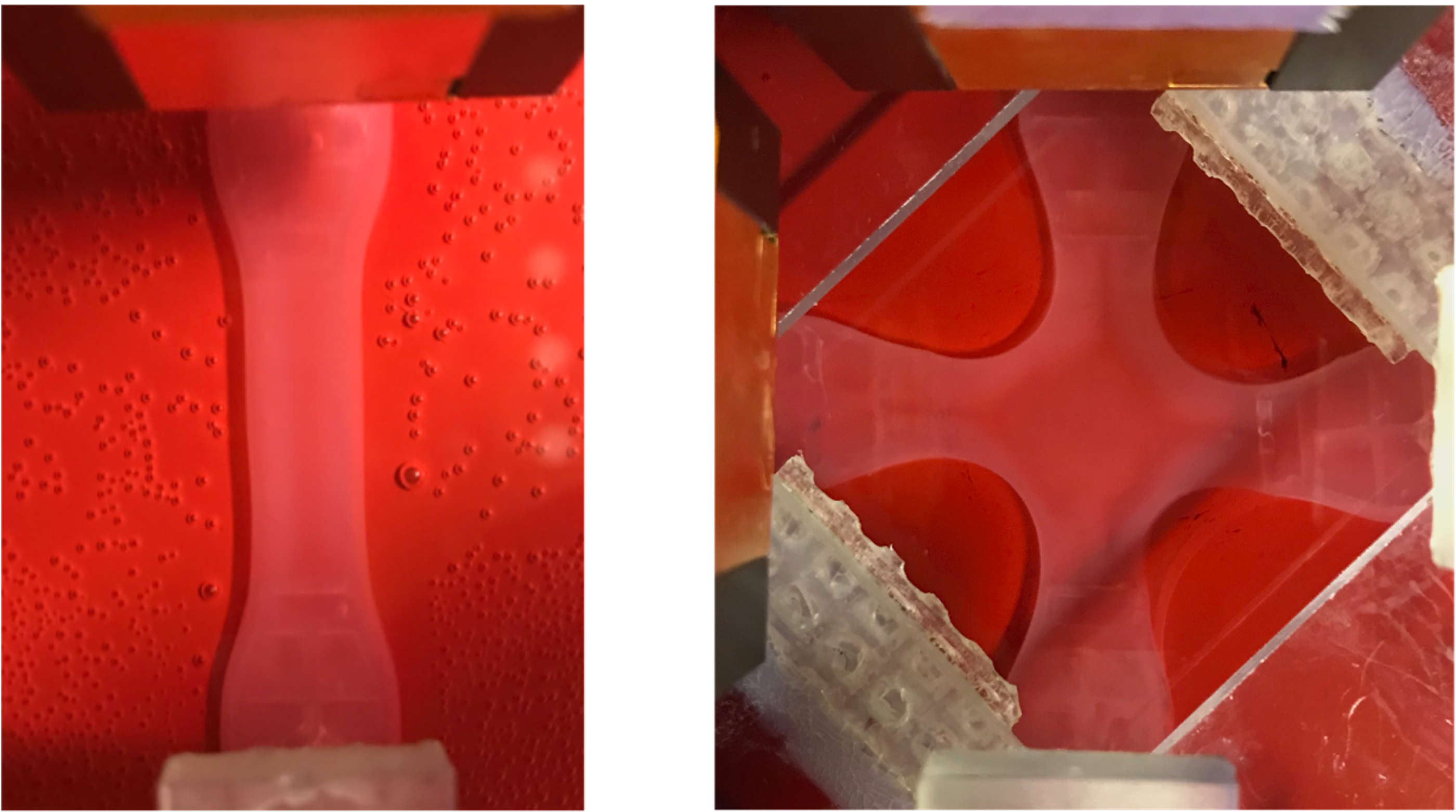 Uniaxial and biaxial gel at the end of and experiment.